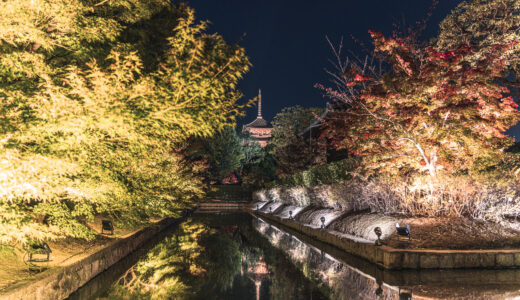 東寺の紅葉を撮影してきました