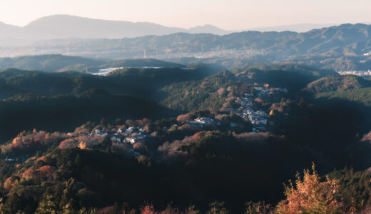 今年も京都・奈良へ紅葉を見に行って来ました