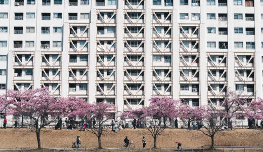 首都圏周辺の早咲きの桜おすすめ撮影スポットをご紹介